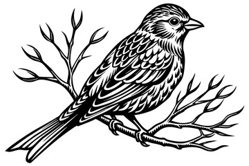 bird-vector illustration on-a-bare-branch