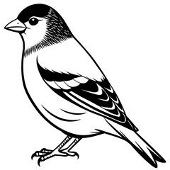 goldfinch silhouette vector illustration svg file