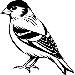 goldfinch silhouette vector illustration svg file
