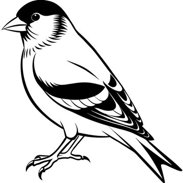 recommend clip art: goldfinch silhouette vector illustration svg file