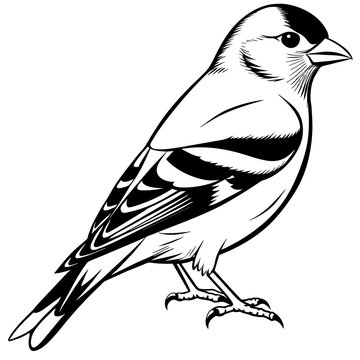 recommend clip art: goldfinch silhouette vector illustration svg file