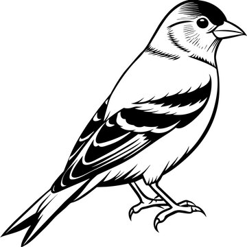 recommend clip art: goldfinch silhouette vector illustration svg file