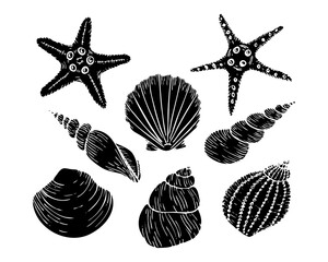 A set of vector seashell silhouette illustrations, including starfish, scallop. Hand drawn maritime seashell sketch. Undersea seashells graphic drawing. For icon, logo, seafood shop, menu.