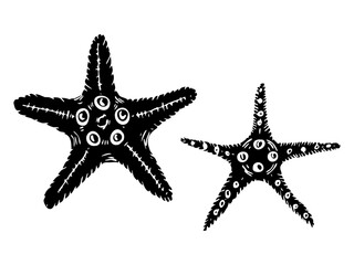 Starfish vector silhouette illustrations set. Hand drawn sketch of sea star. Undersea drawing of seashells.  Isolated design elements in for icon, logo, seafood shop, menu.
