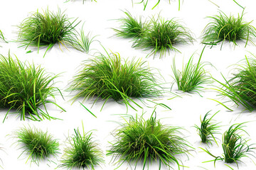 Seamless green grass tufts pattern