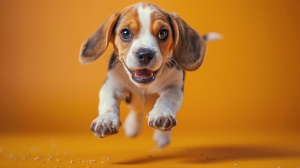 Beagle Puppy Running Through the Autumn Leaves