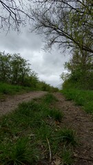 Promenade à Jargeau Loiret 45