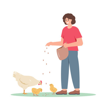 Farm girl character feeding domestic poultry birds. Female Farmer with hens and chicks. Agricultural scene isolated on white background. Vector illustration.