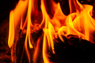 Infernal Essence: Close-Up of Fiery Wood Fire