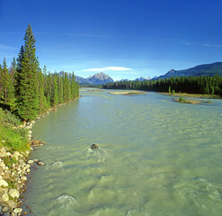 Athabasca River, Jasper National Park of Canada, Alberta - UNESCO World Heritage Site