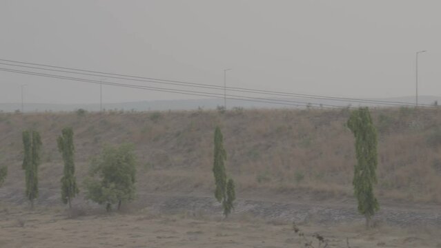 Slog 3 footage trees planted in one line.