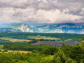 Provence landscape with lavender fields, France - 779216968