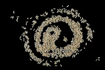 Rolgordijnen Brown long rice, uncooked and hulled, in shape ying yang symbol of harmony and balance, isolated on black, top view © dule964
