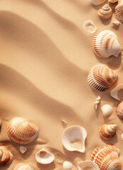 Fototapeta na wymiar Sea shells on the beach. Empty space. Summer vacation and travel concept.