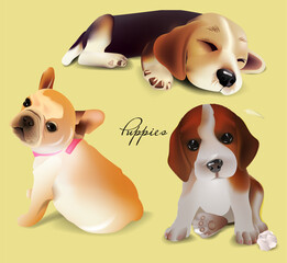 Set of cute puppies. Puppies of different breeds on yellow background. 