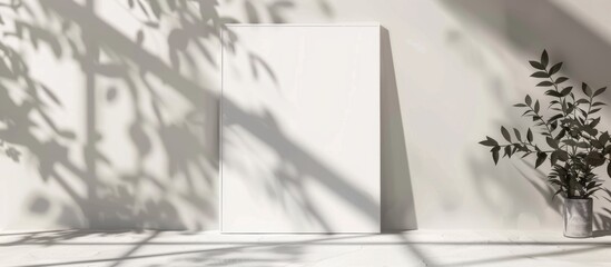 Adjacent to a plain white wall sits a white frame positioned alongside a simple plant in a vase
