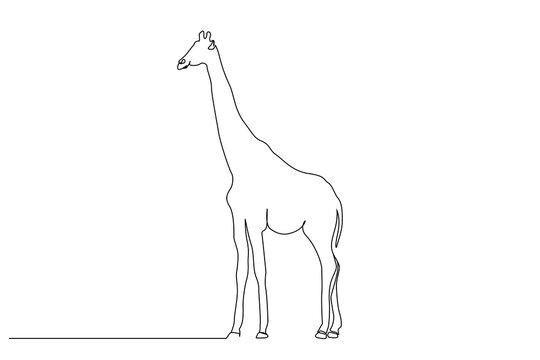 recommend clip art: giraffe animal nature wildlife one line art design vector
