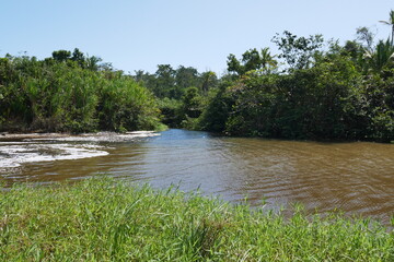 Flussmündung im Nationalpark Cahuita in Costa Rica - obrazy, fototapety, plakaty