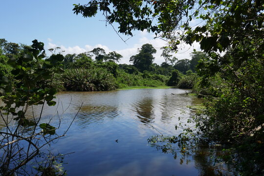 Flussm&uuml;ndung im Nationalpark Cahuita in Costa Rica