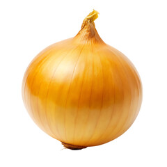onion on white background