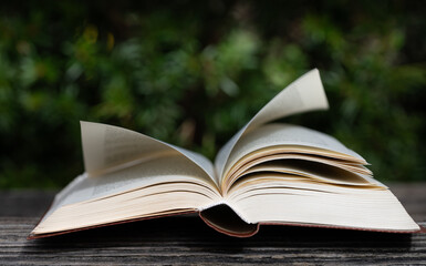 An old book lies open on a weathered wooden board. A blurred green hedge in the background. The...