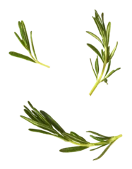 Fototapete Rund Fresh green rosemary herb falling in the air isolates on white background © Agave Studio