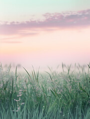 Obraz premium A field of grass with a cloudy sky in the background