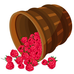 Raspberries fall from the basket