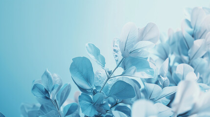 Fototapeta na wymiar flowers on blue background