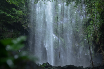 A beautiful waterfall hidden deep in the tropical rainforests of Indonesia