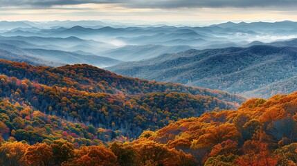 Autumn Panorama: A Symphony of Color in the Mountains