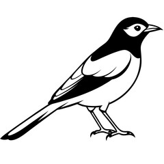 illustration of a bird, silhouette