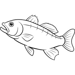 illustration of a fish