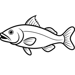 fish isolated on white background