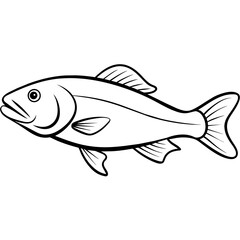 illustration of a fish