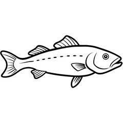 fish on a white background