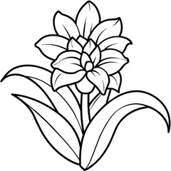 sketch of a  flower
