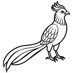 illustration of a bird