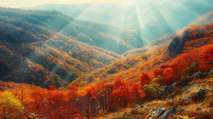Breathtaking Panorama of Autumn Splendor:  a vast mountain landscape cloaked in the vibrant hues of fall - obrazy, fototapety, plakaty