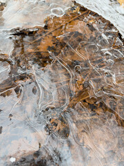 thin transparent ice on a puddle in the park on a spring day, foliage through the ice, dry grass through ice