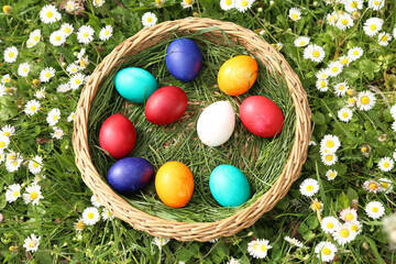 Closeup of colorful eggs in beautiful spring meadow on easter holiday outdoors in green graas.Traditional symbol for christian and catholic holiday
