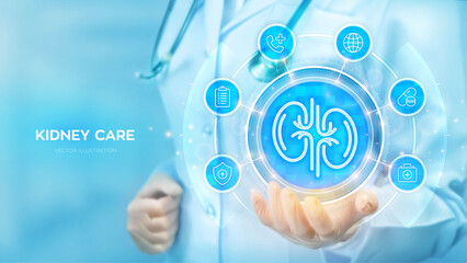 Kidney care. Kidneys icon. Treatment of kidneys diseases. Urology, nephrology clinic medical banner. Doctor holding in hand Kidney icon and medicine icons network connection. Vector illustration.
