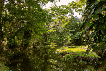 Río reflejante