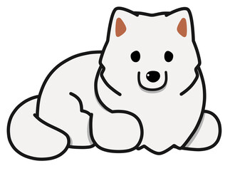 伏せするサモエド