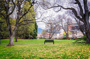 bench in the park in Hobart
