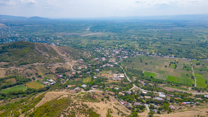 Naklejka premium Vineyards in Alazani valley at the Kakheti region of Georgia