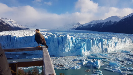 Glaciar Perito Moreno, Calafate, Argentina.