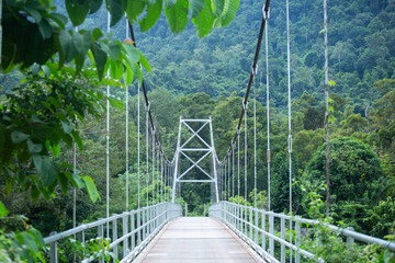 Suspension bridge that stretches over the river