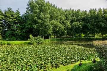 Famous People Garden (Jardin des Personnalites) landscaped garden/park in the town of Honfleur, Normandy, France. - 779270722