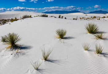 Beautifully peaceful landscape at White Sands National Park.